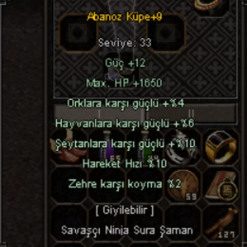 +9 Abonoz Küpe